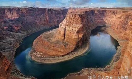 金莲花的功效与禁忌图片-金莲花图片功效和作用,中国金莲花的功效与禁忌网站